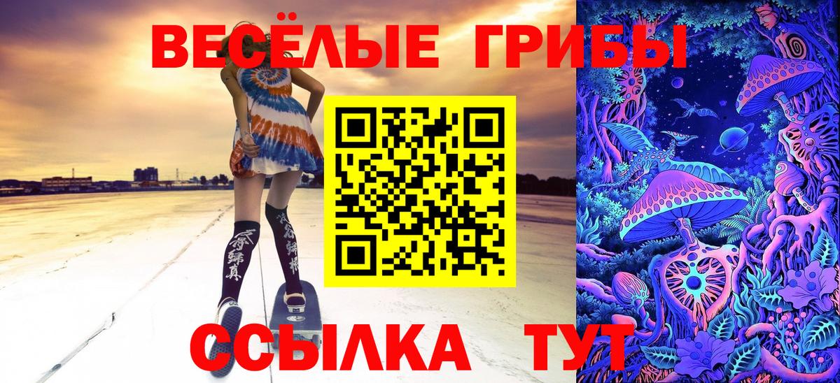 Магнитогорск  дарнет шоп  Вход с VPN  Галлюциногенные грибы Magic Shrooms 